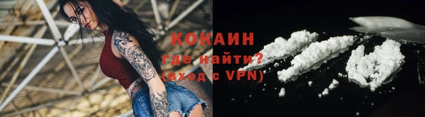 крисы Верхний Тагил