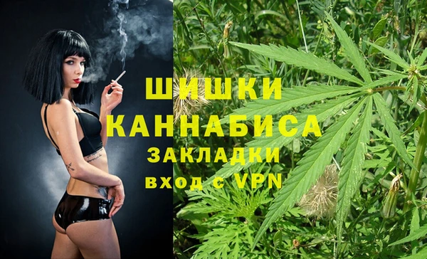крисы Верхний Тагил
