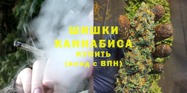 крисы Верхний Тагил