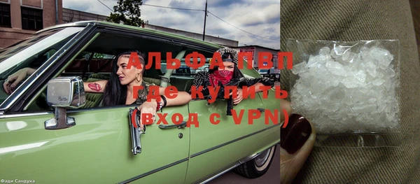 крисы Верхний Тагил