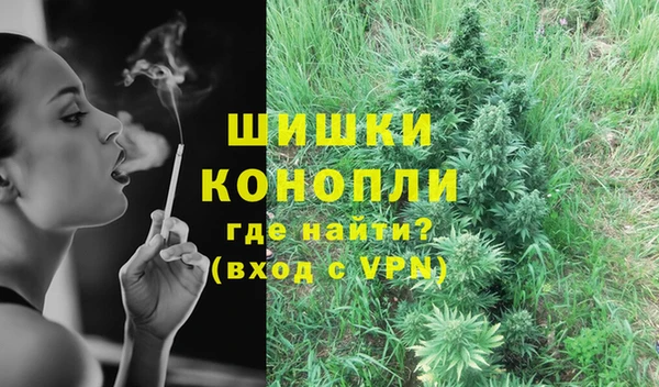 прущие крисы Верея