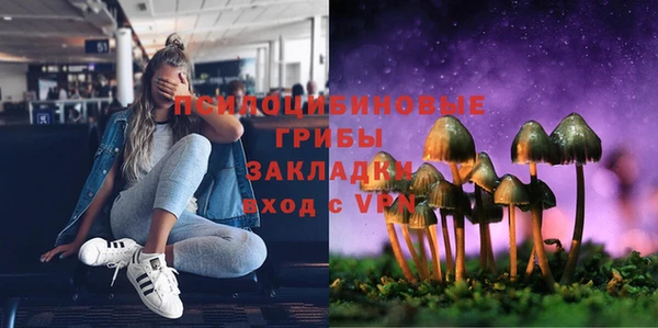 прущие крисы Верея