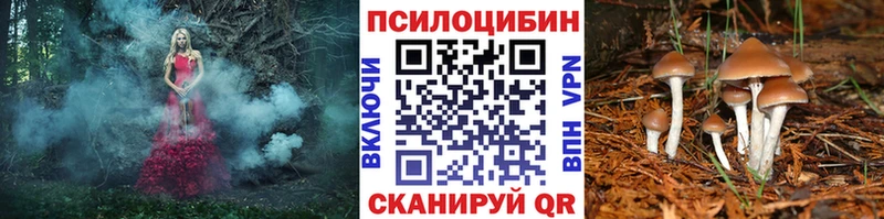Псилоцибиновые грибы мицелий  Долинск 